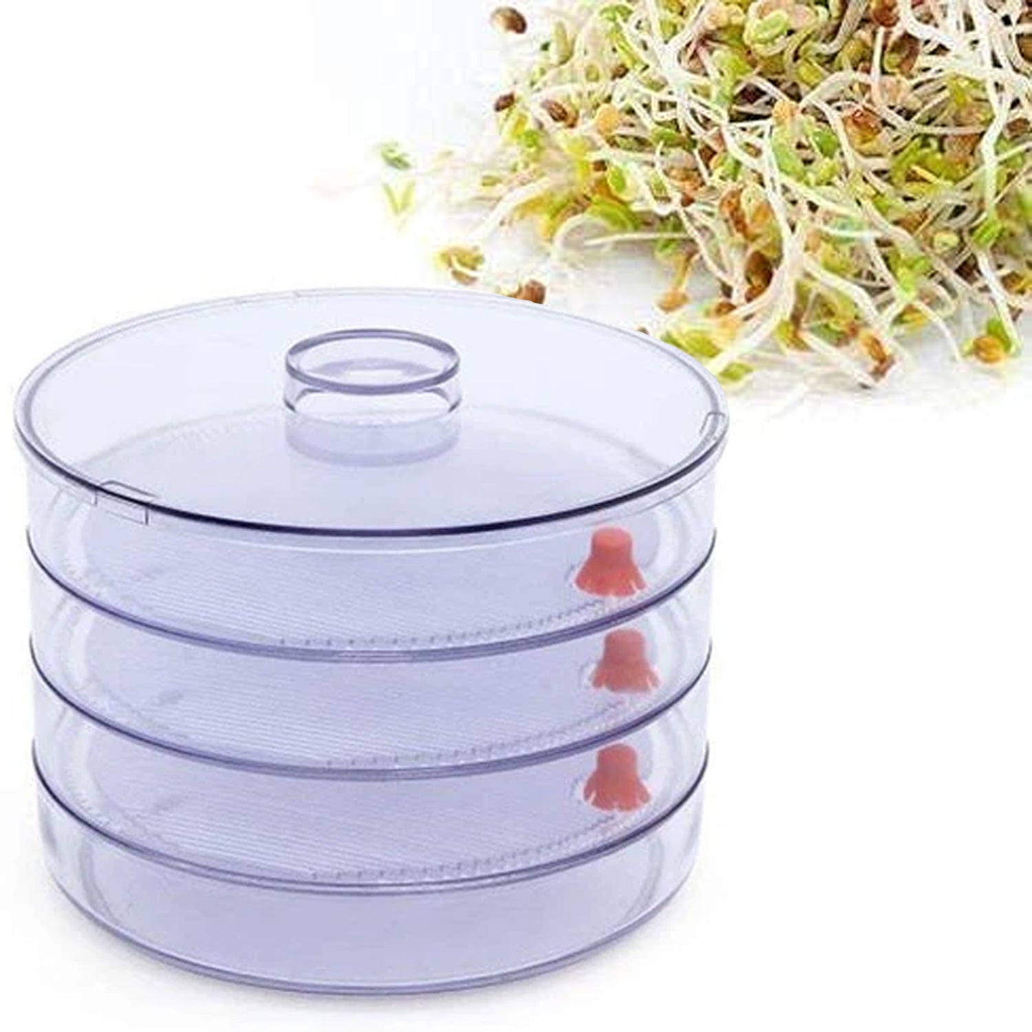 070 Plastic 4 Compartment Sprout Maker, White BUDGET HUB